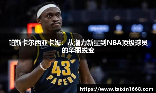 BB贝博