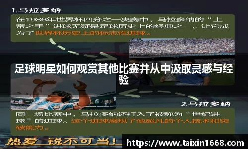 BB贝博登录入口