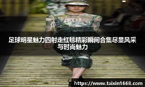 BB贝博登录入口